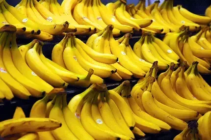  عکس موز خفن برای پروفایل