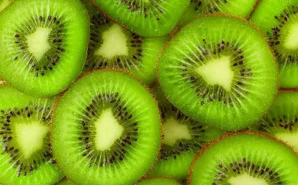  عکس درخت کیوی