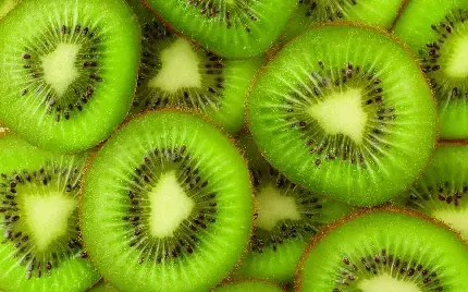 عکس کیوی کیوت