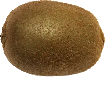 عکس میوه کیوت