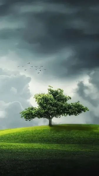  عکس دختر دی جی برای پروفایل