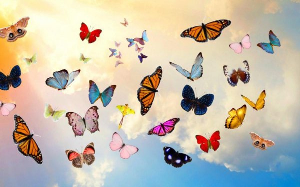  عکس با کیفیت برای صفحه کامپیوتر