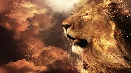 عکس شیر ترسناک برای پروفایل