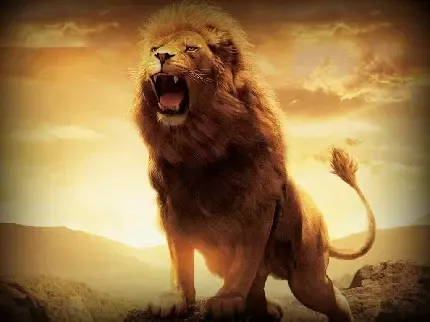  زیباترین عکس شیر جنگل برای پروفایل