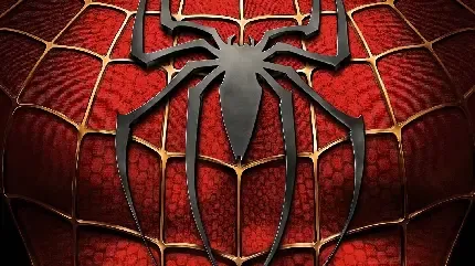  عکس مرد عنکبوتی در برای والپیپر سامسونگ