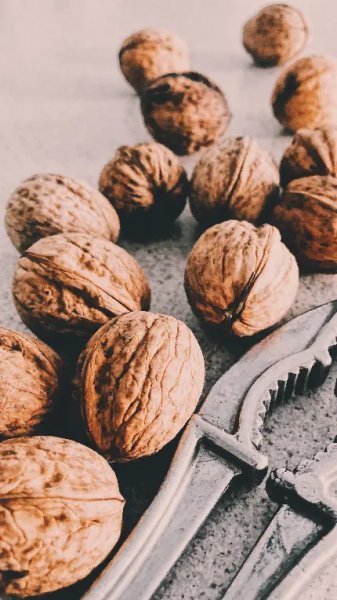  عکس گردو و مغز گردو با کیفیت بالا