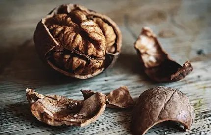  عکس گردو و مغز گردو با کیفیت بالا