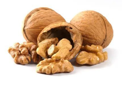  عکس مغز گردو