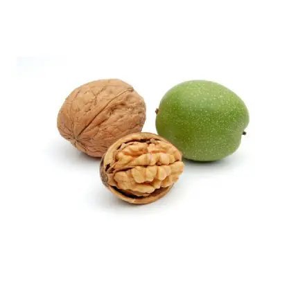  عکس مغز گردو