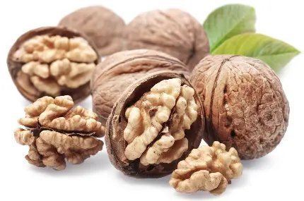  عکس مغز گردو