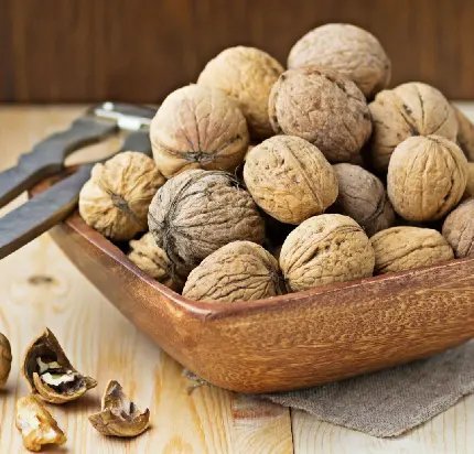  عکس مغز گردو