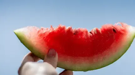 عکس هندونه برای تصویر زمینه