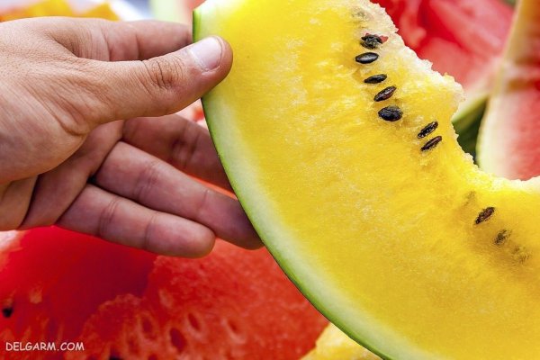 عکس هندوانه برای بک گراند