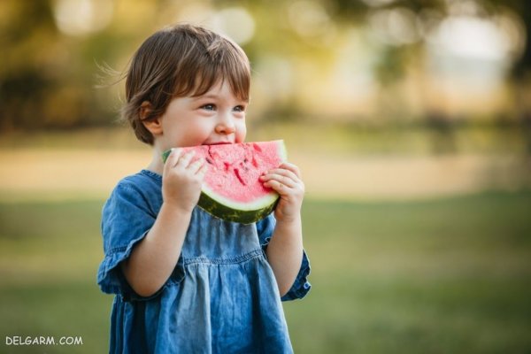 عکس هندوانه برای بک گراند