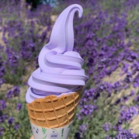  عکس های بستنی