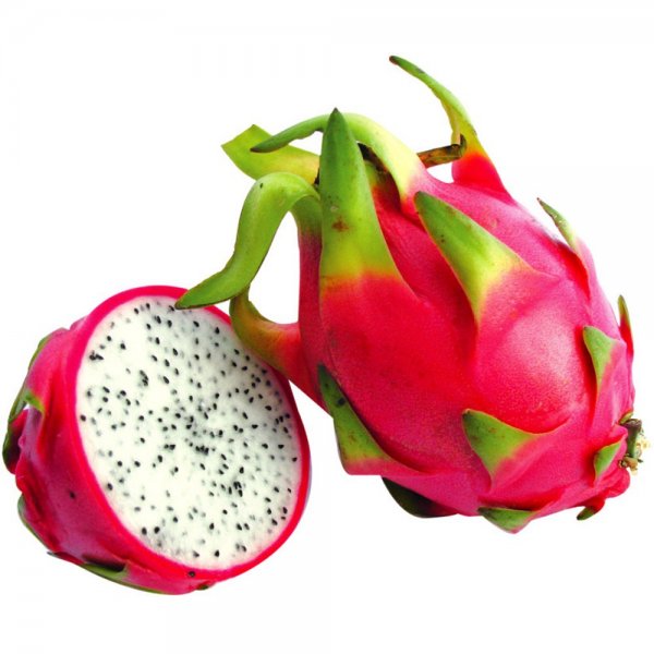  عکس میوه کاکتوس