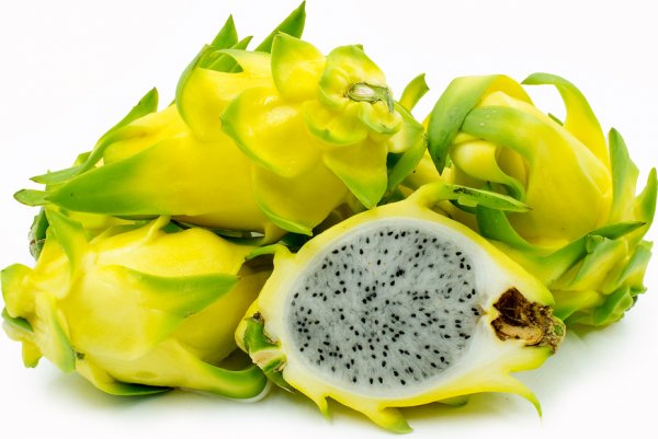  عکس میوه کاکتوس