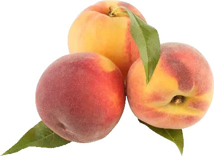  عکس هلو نرم و گوشتی