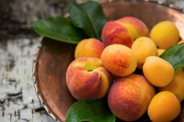  عکس هلو برای پروفایل