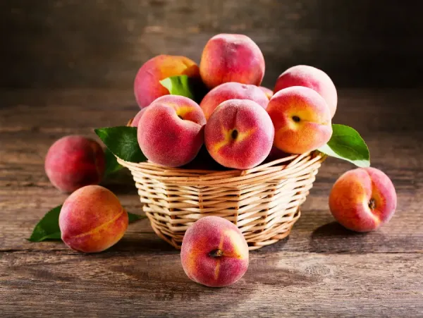  عکس هلو برای تصویر زمینه