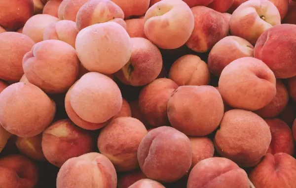  عکس هلو برای بک گراند کامپیوتر