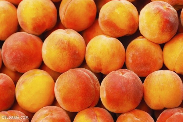  عکس هلو برای والپیپر گوشی