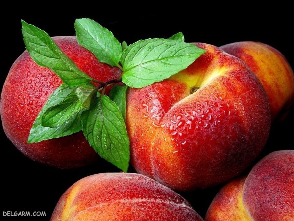  عکس هلو باکیفیت بالا