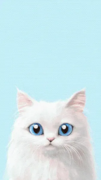  والپیپر زیبای بچه گربه