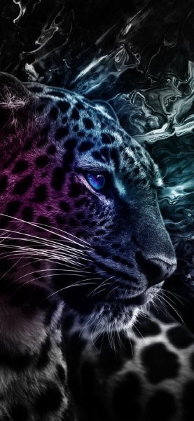  عکس پلنگ وحشی سیاه برای والپیپر