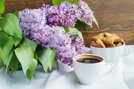  تصویر زمینه فنجان قهوه برای کامپیوتر