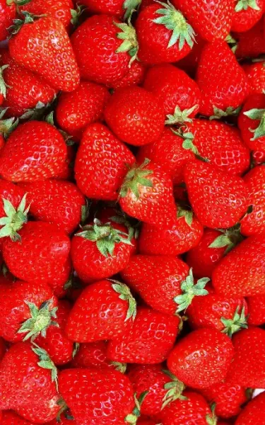  بک گراند توت فرنگی قرمز برای گوشی
