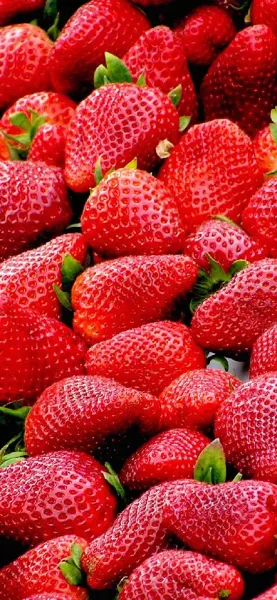  بک گراند توت فرنگی قرمز برای گوشی