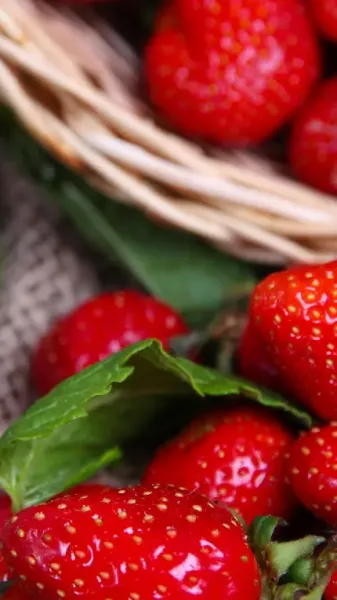  والپیپر توت فرنگی برای آیفون