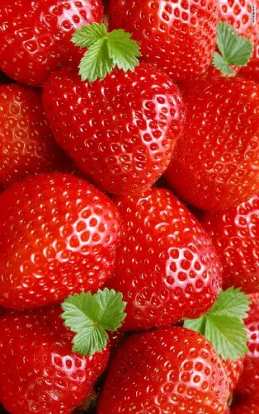  والپیپر توت فرنگی برای آیفون