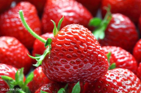 عکس پس زمینه خفن توت فرنگی برای گوشی