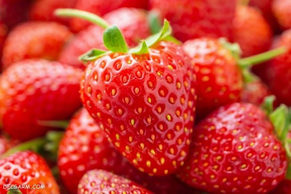  عکس پس زمینه خفن توت فرنگی برای گوشی