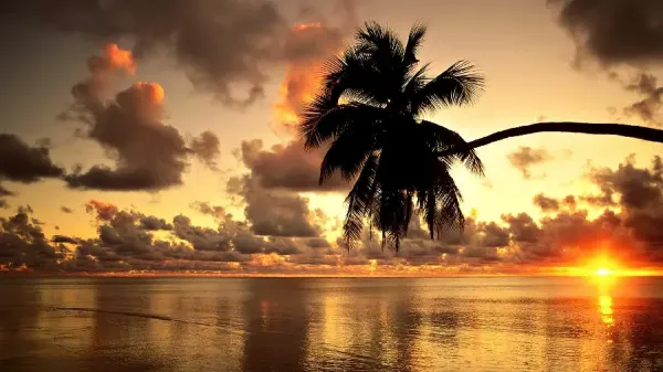  والپیپر کامپیوتر با کیفیت HD