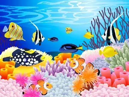  عکس ماهی فانتزی