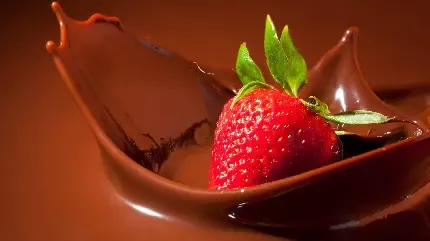 عکس شکلات کاکائویی