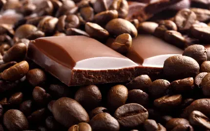 عکس شکلات کاکائویی