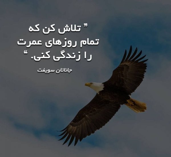  عکس نوشته خاص و تاثیرگذار