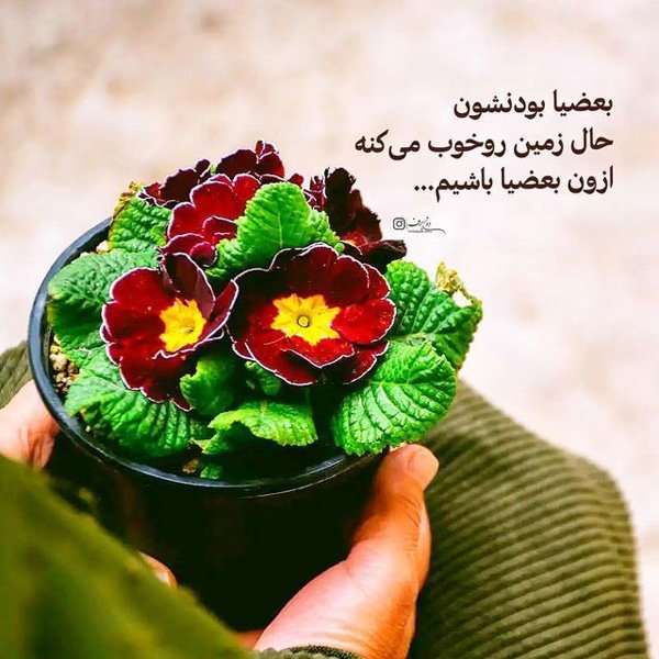  عکس نوشته های زیبا و خاص