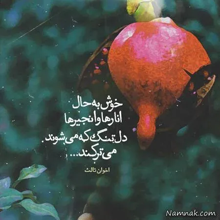  عکس نوشته های اموزنده
