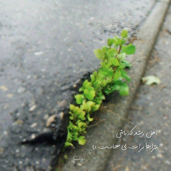  عکس پروفایل اخلاقی زیبا