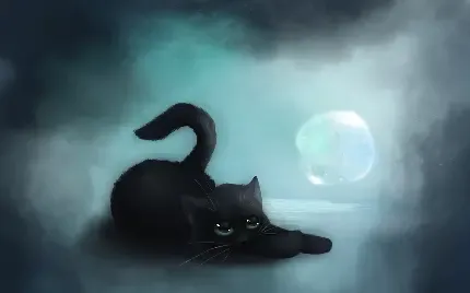  عکس گربه مشکی برای پروفایل شاد
