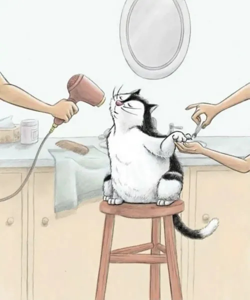  پس زمینه گربه فانتزی