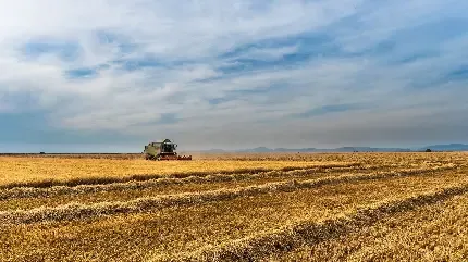  عکس پروفایل کشتزار سرسبز