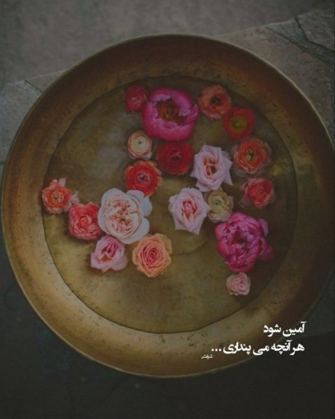  عکس استوری آموزنده و مفهومی