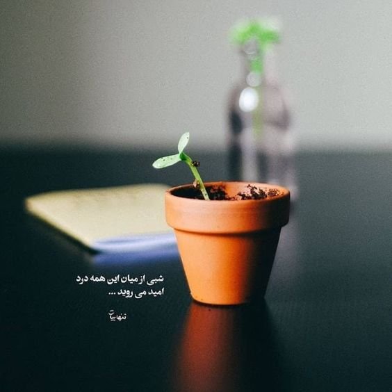  عکس استوری آموزنده و مفهومی