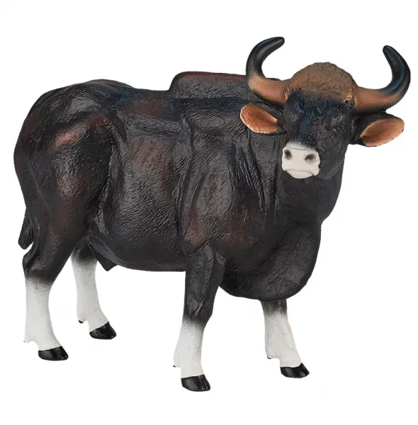  عکس گاومیش